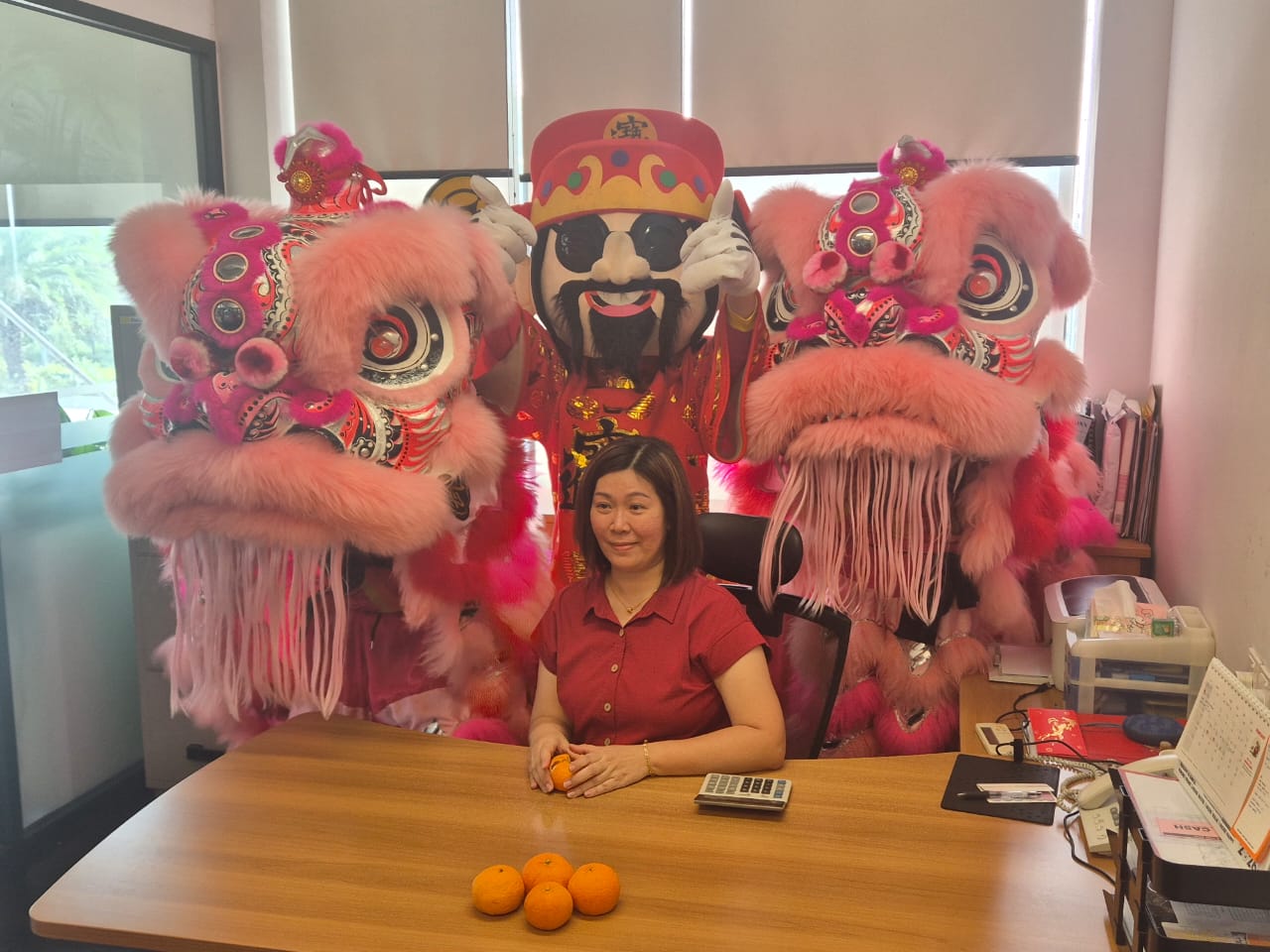 Chinese New Year 2026